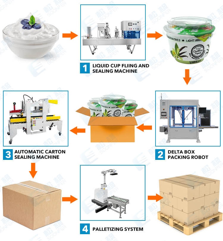 dumpling pouch carton packing machine line