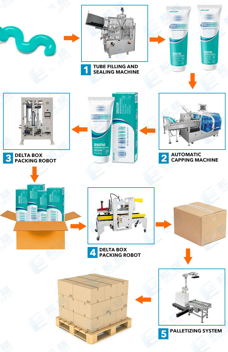 dumpling pouch carton packing machine line